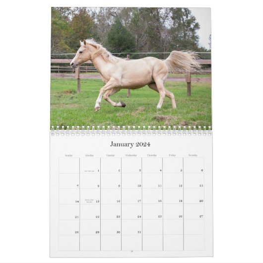 馬美しい カレンダー (1月 2024)