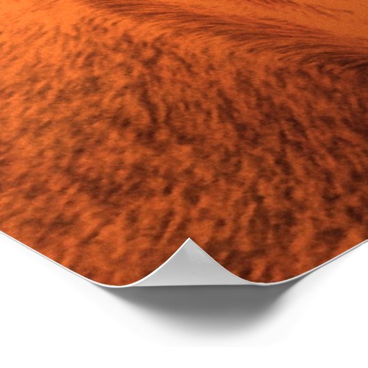 馬背 ポスター (角)