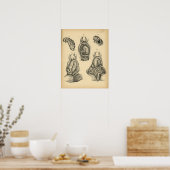 馬腹解剖学1908ヴィンテージプリント ポスター (キッチン)