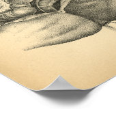 馬腹解剖学1908ヴィンテージプリント ポスター (角)