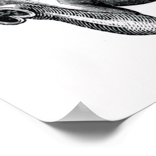 馬腹解剖学 ポスター (角)