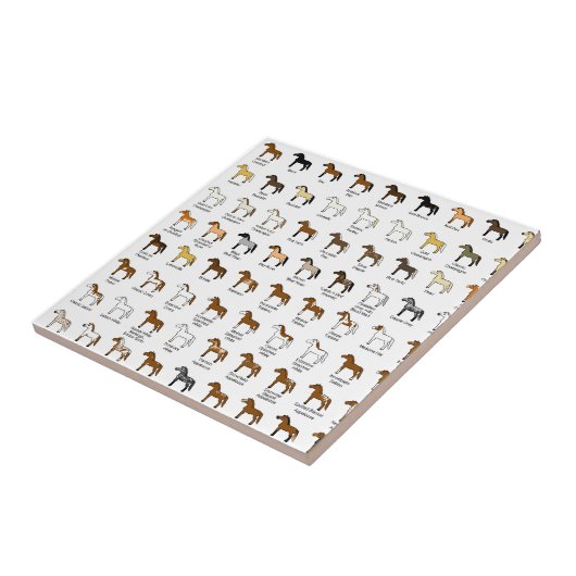 馬色 タイル (側面)