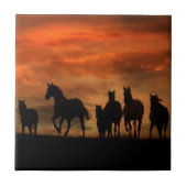 馬芸タイル タイル (正面)