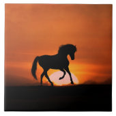 馬芸タイル タイル (正面)