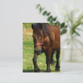 馬荷車を引くはがき ポストカード (スタンド正面)