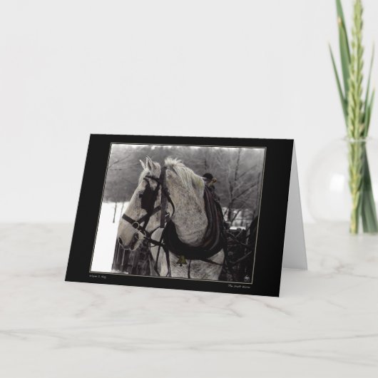 馬荷車を引くグリーティングカード カード (正面)