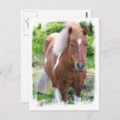 馬荷車を引く葉書 ポストカード (正面/裏面)