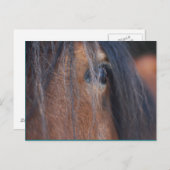 馬荷車を引く葉書 ポストカード (正面/裏面)