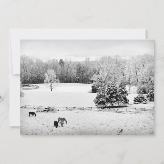 馬落ちた牧場の新雪 シーズンカード (正面)