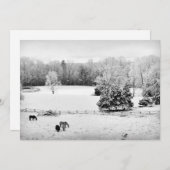 馬落ちた牧場の新雪 シーズンカード (正面/裏面)