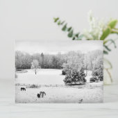 馬落ちた牧場の新雪 シーズンカード (スタンド正面)