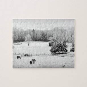 馬落ちた牧場の新雪 – 8x10インチ ジグソーパズル