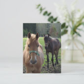 馬葉書 ポストカード (スタンド正面)