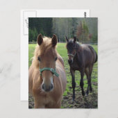 馬葉書 ポストカード (正面/裏面)