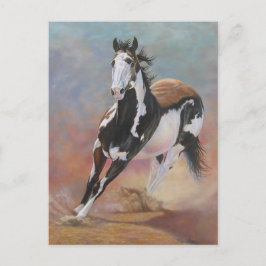 馬葉書 ポストカード