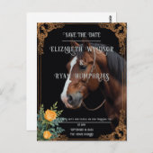 馬術エレガントロマンス ポストカード (正面/裏面)