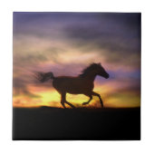 馬術タイトル タイル (正面)