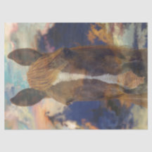 馬術ブリーズデコップページ