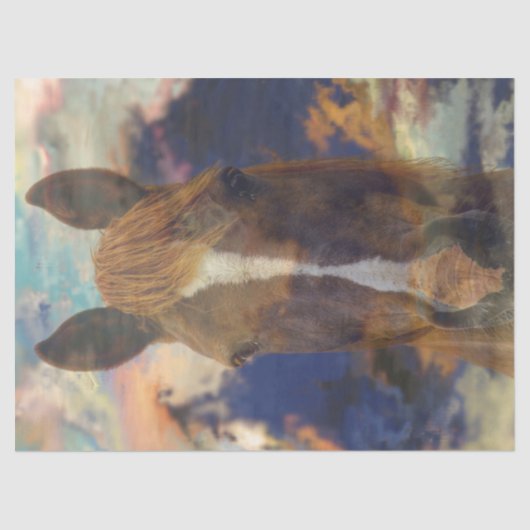 馬術ブリーズデコップページ 薄葉紙 (正面)