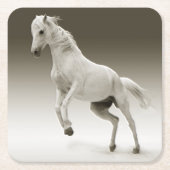 馬術白馬馬 スクエアペーパーコースター (正面)