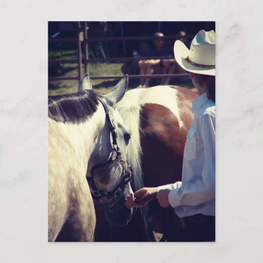 馬術興行での打ち上げ ポストカード (正面)