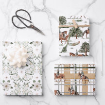 馬術馬クラシック