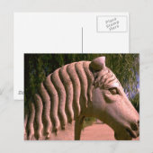 馬術 ポストカード (正面/裏面)