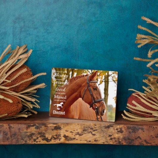 馬記念ペットロス遺跡馬写真 フォトプラーク (側面)