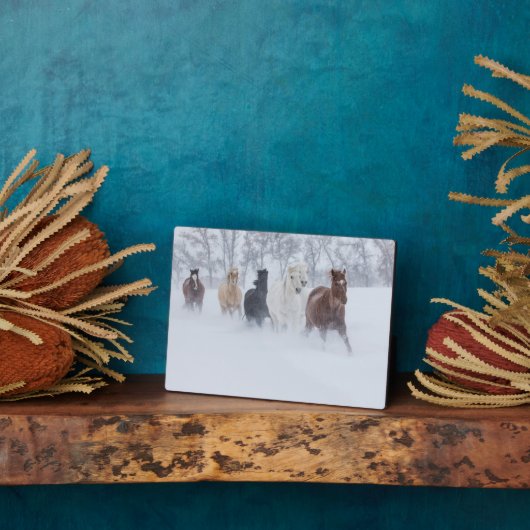 馬走の雪の中 フォトプラーク (側面)