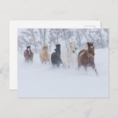 馬走の雪の中 ポストカード (正面/裏面)