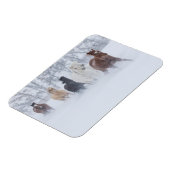 馬走の雪の中 マグネット (左側)