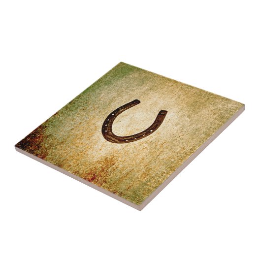 馬蹄形 タイル (側面)