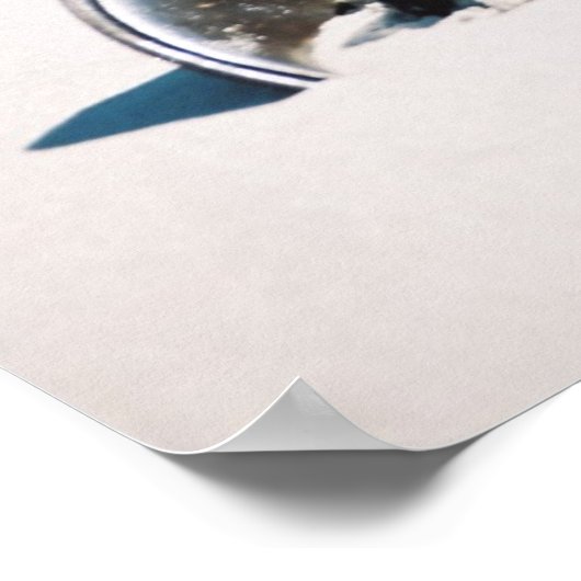 馬蹄炭 ポスター (角)