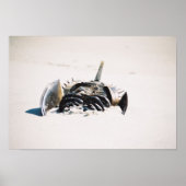 馬蹄炭 ポスター (正面)