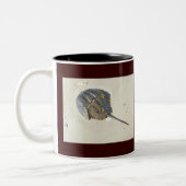 馬蹄蟹のマグ ツートーンマグカップ (左)