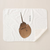 馬蹄蟹の漫画イラストレーション シェルパブランケット (正面(横))