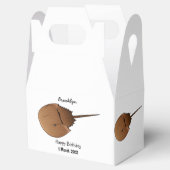 馬蹄蟹の漫画イラストレーション フェイバーボックス (オープン)