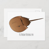 馬蹄蟹の漫画イラストレーション ポストカード (正面/裏面)