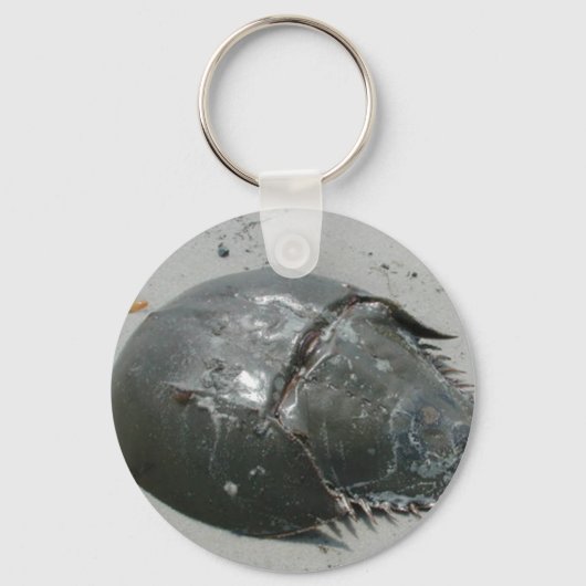 馬蹄蟹 キーホルダー (正面)