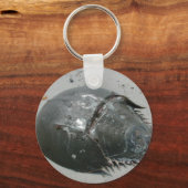 馬蹄蟹 キーホルダー (正面)