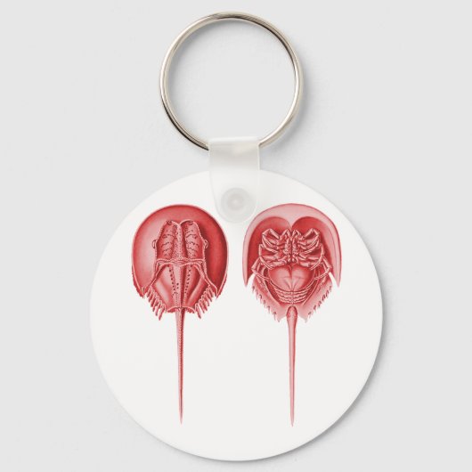 馬蹄蟹 キーホルダー (正面)