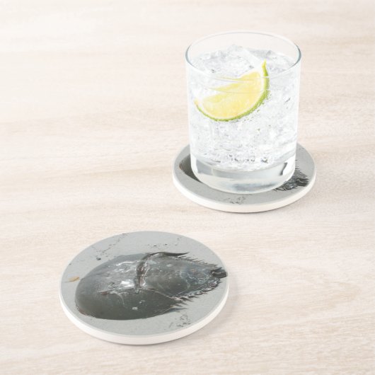 馬蹄蟹 コースター (側面)