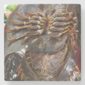 馬蹄蟹…タイアジア通り食品 ストーンコースター (正面)