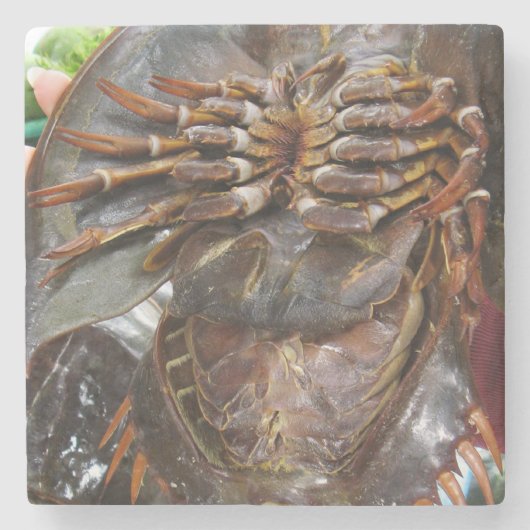 馬蹄蟹…タイアジア通り食品 ストーンコースター (正面)