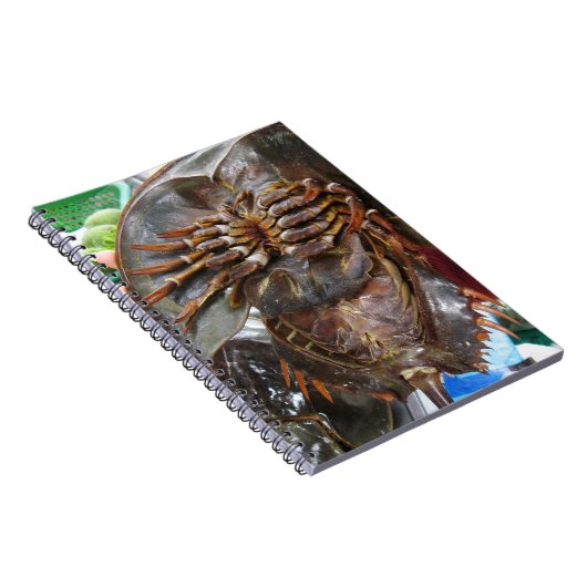 馬蹄蟹…タイアジア通り食品 ノートブック (右側)