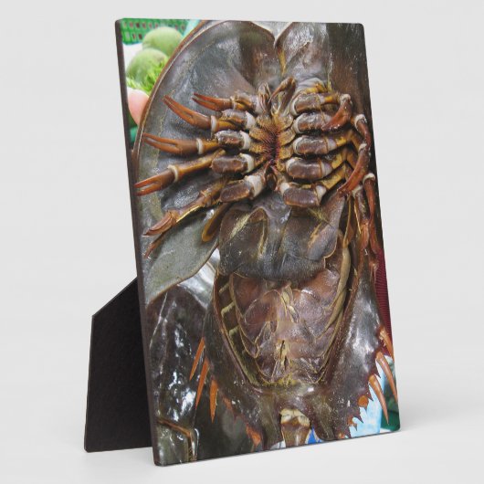 馬蹄蟹…タイアジア通り食品 フォトプラーク (側面)