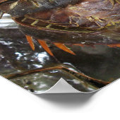 馬蹄蟹…タイアジア通り食品 ポスター (角)