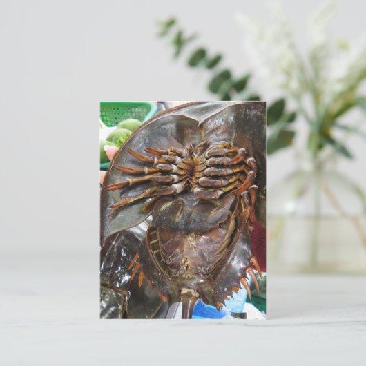 馬蹄蟹…タイアジア通り食品 ポストカード (スタンド正面)