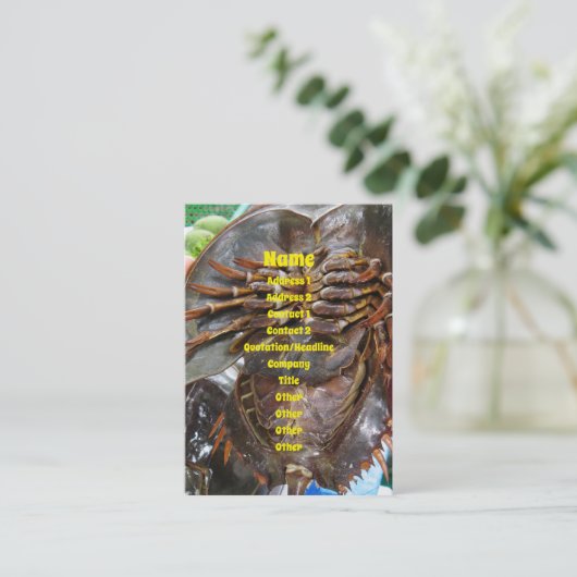 馬蹄蟹…タイアジア通り食品 名刺 (スタンド正面)