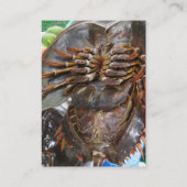 馬蹄蟹…タイアジア通り食品 名刺 (裏面)